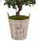 Nearly Natural; 4.5ft. Sweet Bay Double Topiary Tree in Farmhouse Planter; Category:Trees & Floor Plants; Image:4